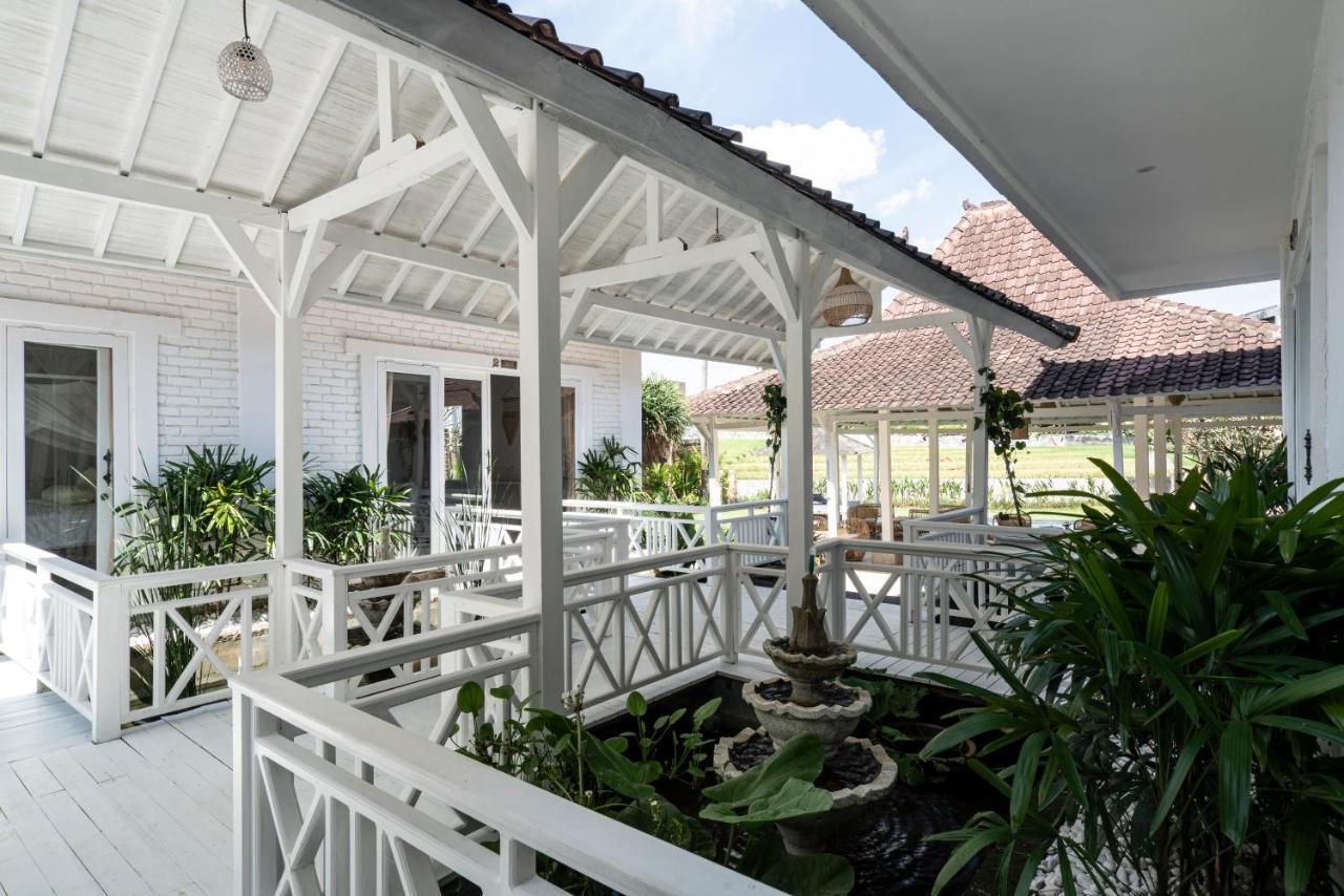 Isaiya Boutique Hotel Canggu Zewnętrze zdjęcie