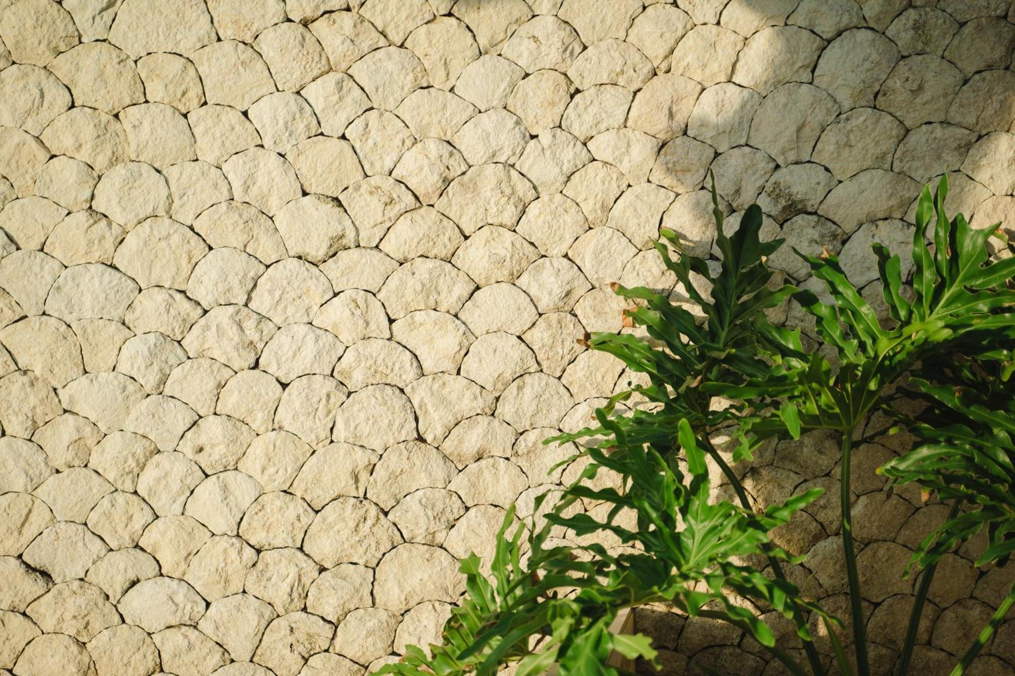 Isaiya Boutique Hotel Canggu Zewnętrze zdjęcie